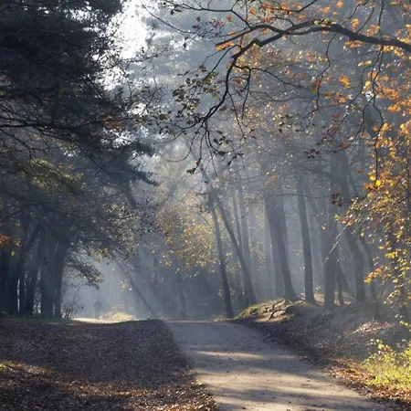 Luxury Of Nature - Boutique Vakantiehuis Helvoirt
