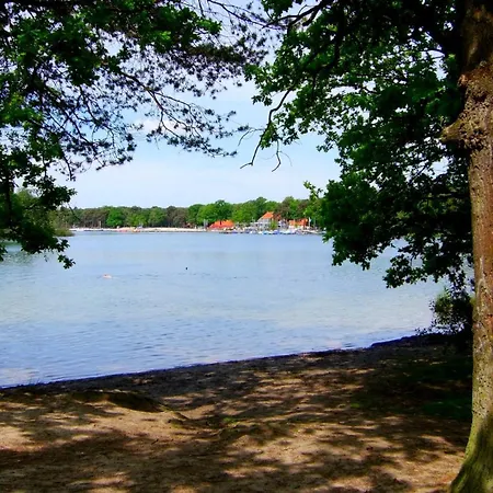 Vakantiehuis Luxury Of Nature - Boutique Helvoirt
