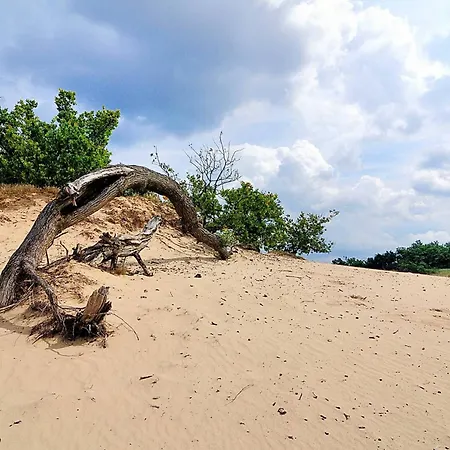 Luxury Of Nature - Boutique *