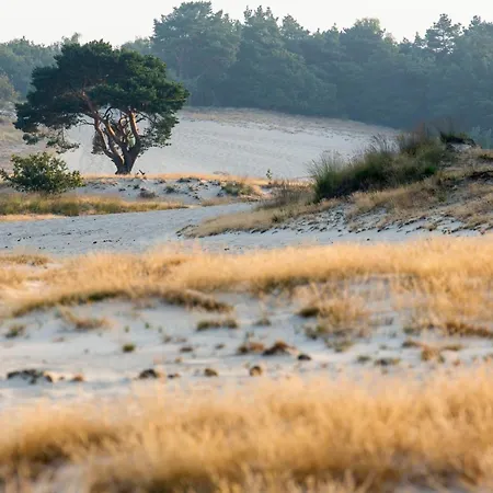 Vakantiehuis Luxury Of Nature - Boutique *