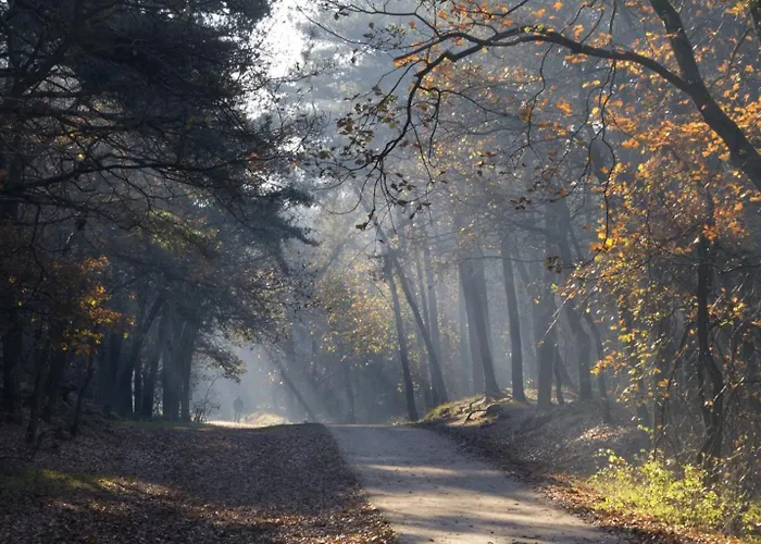 Luxury Of Nature - Boutique Nyaraló Helvoirt