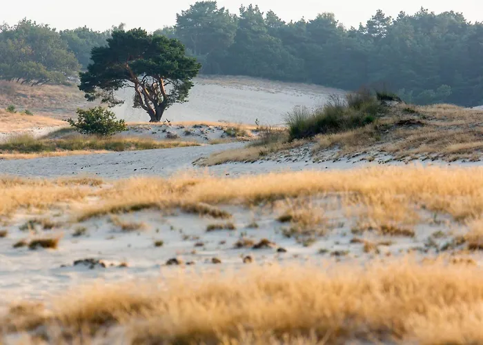 Nyaraló Luxury Of Nature - Boutique *