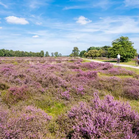 Luxury Of Nature - Boutique Helvoirt