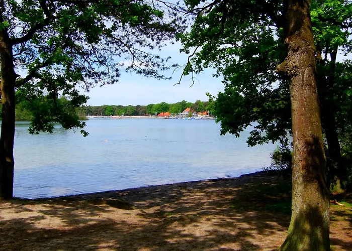 Dom wakacyjny Luxury Of Nature - Boutique Helvoirt