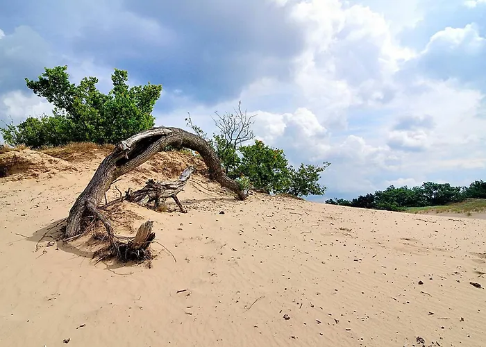 Luxury Of Nature - Boutique *