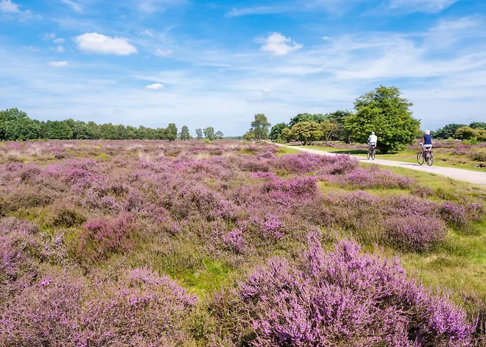 Luxury Of Nature - Boutique Helvoirt